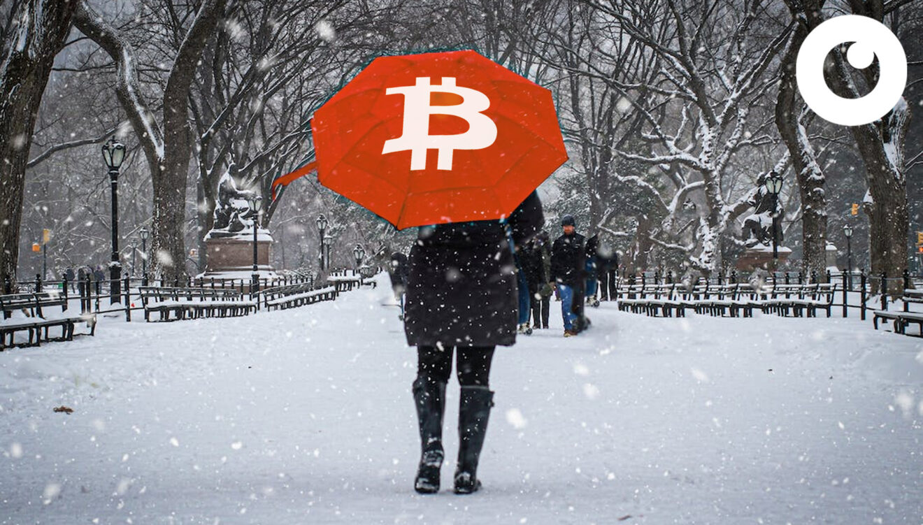 #145 Winterstorm