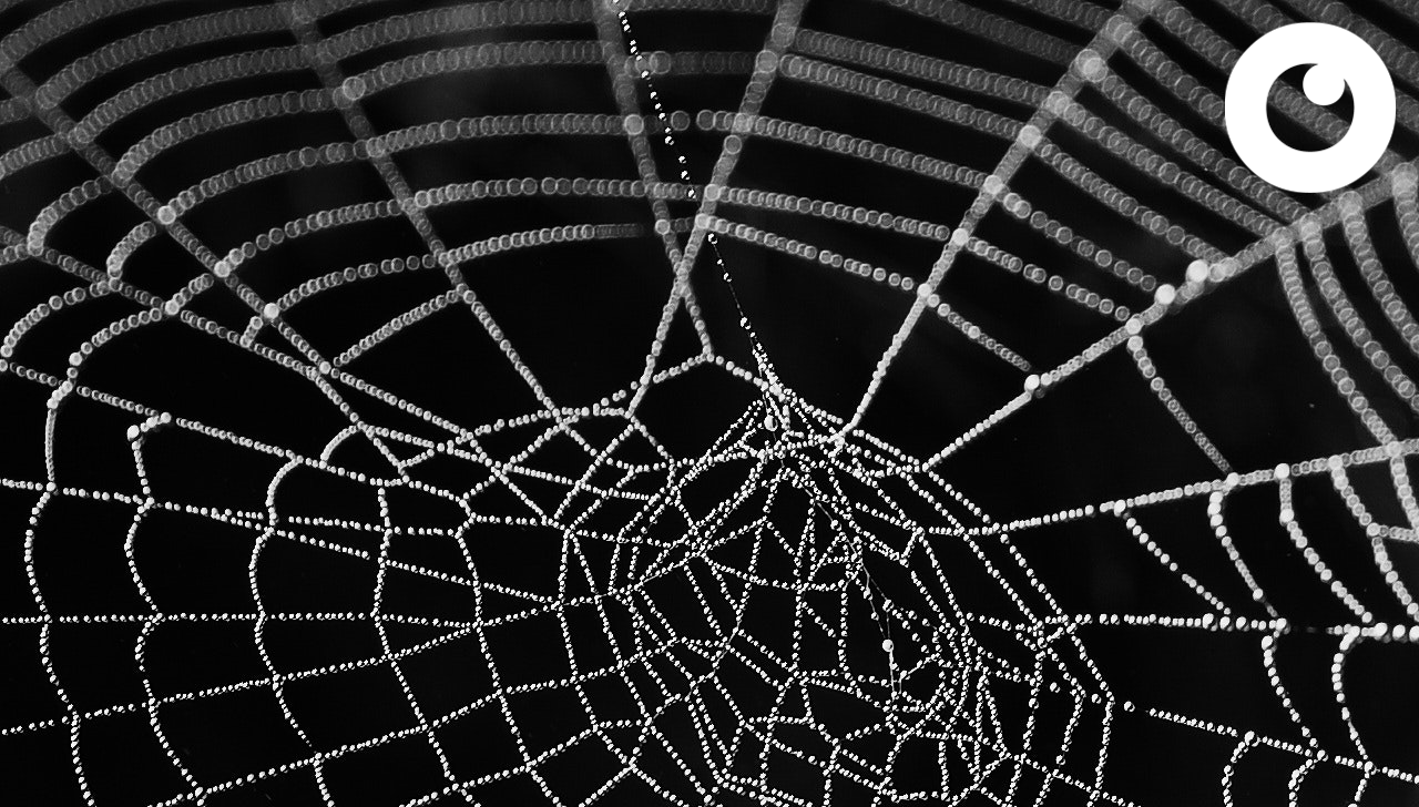 #261 Bitcoin transactierecord en Spiderchains